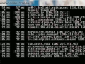 tracert